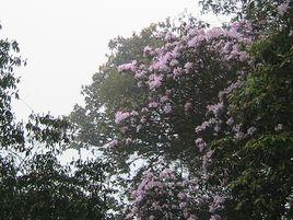 桂峰山旅遊區 桂峰山旅遊區