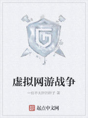 虛擬網遊戰爭 虛擬網遊戰爭