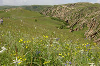內蒙黃花溝風景區 內蒙黃花溝風景區