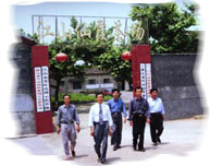 (圖)浙江省江山仙霞茶場