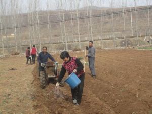 沂水縣泉莊鎮 沂水縣泉莊鎮