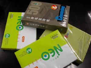 山東晨鳴紙業集團