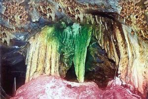 地下倒石林 地下倒石林