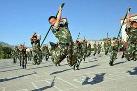 武警8663部隊 武警8663部隊