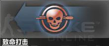 致命打擊(精準擊斃)