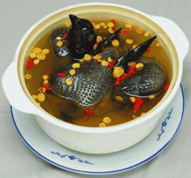 枸杞甲魚湯鍋 枸杞甲魚湯鍋