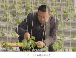 郭磊[中國駐以色列原外交官]