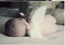 落入凡間的天使 落入凡間的天使