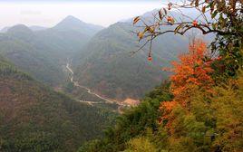 千年古道 千年古道