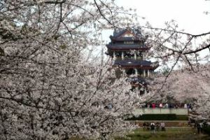 張花樓村 張花樓村