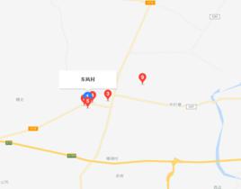 東風村[廣東省廣州市花都區炭步鎮下轄村]