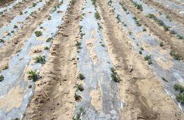 仵龍堂鄉 仵龍堂鄉