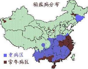 （圖）稻瘟病在中國的分布