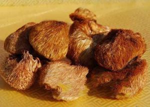 紅扒猴頭蘑 紅扒猴頭蘑