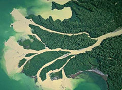 多瑙河三角洲 多瑙河三角洲