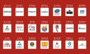 品牌資本化 品牌資本化