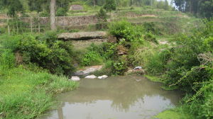 新亭嶺古道 新亭嶺古道