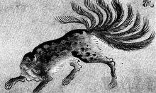 九尾狐[中國古代神話傳說]