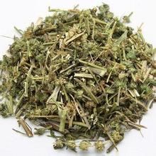 益母草茶 益母草茶