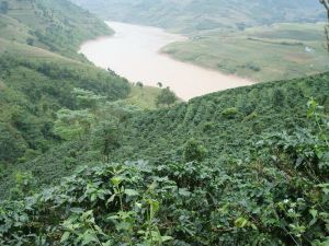 埋象山自然村 埋象山自然村