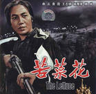 《受苦人拿槍鬧革命》 《受苦人拿槍鬧革命》