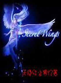 天使紅塵 天使紅塵