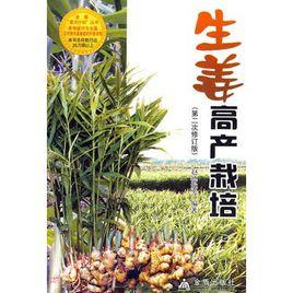 生薑高產栽培 生薑高產栽培
