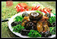 詹姆士&middot;辛尼格