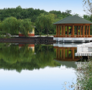 塘沽森林公園 塘沽森林公園