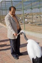 陳宏[中國畫院副秘書長]