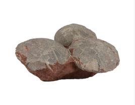 恐龍蛋化石 恐龍蛋化石