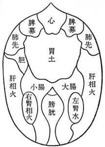 髒象學說 髒象學說