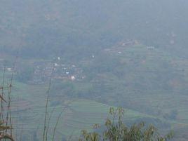 香柳自然村 香柳自然村