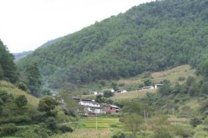 大園地自然村 大園地自然村