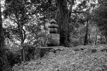 藤原成親 藤原成親