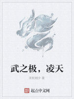 武之極,凌天 武之極,凌天