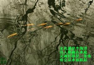 未名湖是個海洋