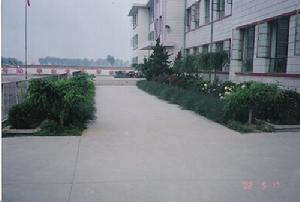 桑梓鎮劉家頂中學