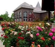 太倉恩鈿月季公園 太倉恩鈿月季公園