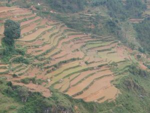 中六五村 中六五村