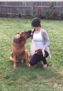 淮上[網路作家]