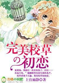 完美校草的初戀 完美校草的初戀
