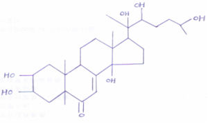露水草提取物 露水草提取物