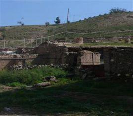 利群村[浙江海寧市丁橋鎮利群村]