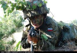 波蘭武裝力量 波蘭武裝力量