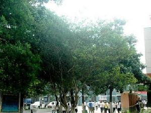 襄陽汽車職業技術學院