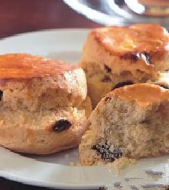 葡萄乾比司吉 葡萄乾比司吉