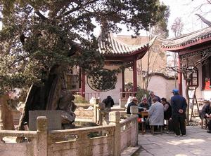 上海古松園 上海古松園