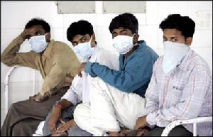 腦膜炎奈瑟菌肺炎