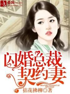 閃婚總裁契約妻